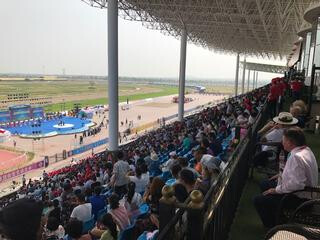 View from the main stand at Korchin, July 2017.